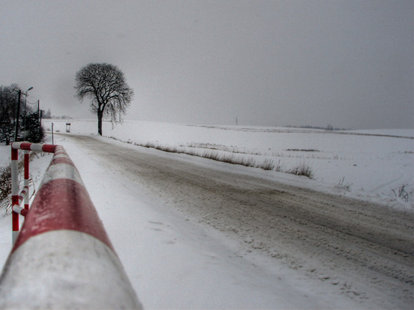 Zdjęcie - Zima w Osiecznej