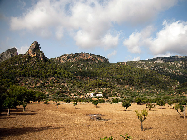 Zdjęcie - Góry Serra de Tramuntana